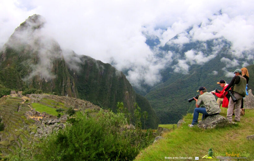 Birding Machu Picchu