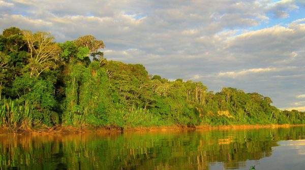 Manu-Birding-Lodge-89