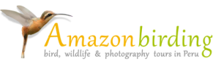 amazon-birding